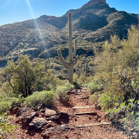 Meet your Posher, Jeni - Picture 2 of 3